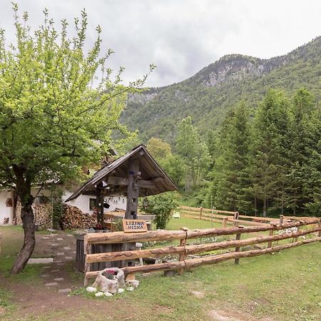 Вілла Lizina Hiska House Bohinj Бохінська Бістріца Екстер'єр фото