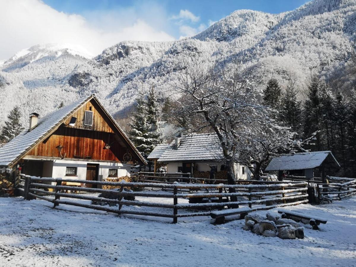 Вілла Lizina Hiska House Bohinj Бохінська Бістріца Екстер'єр фото