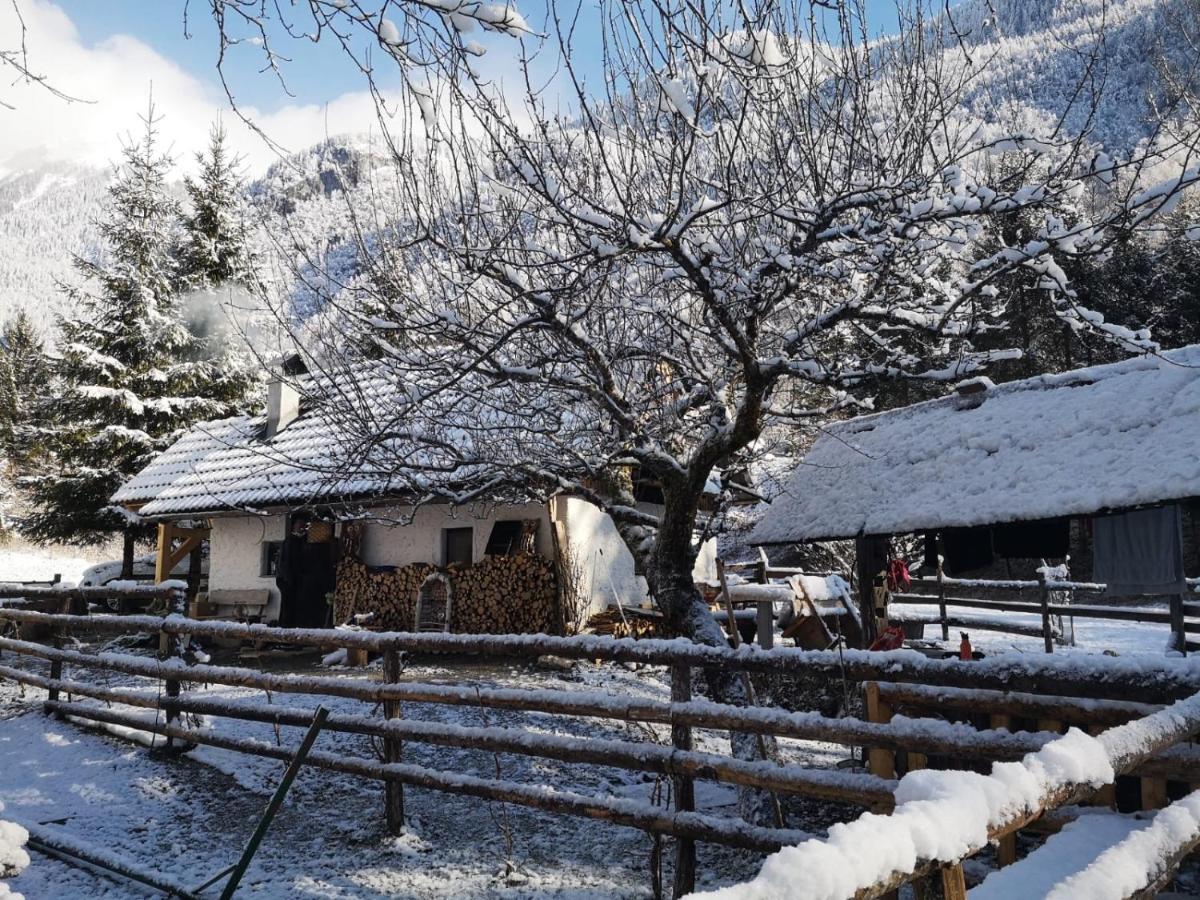 Вілла Lizina Hiska House Bohinj Бохінська Бістріца Екстер'єр фото