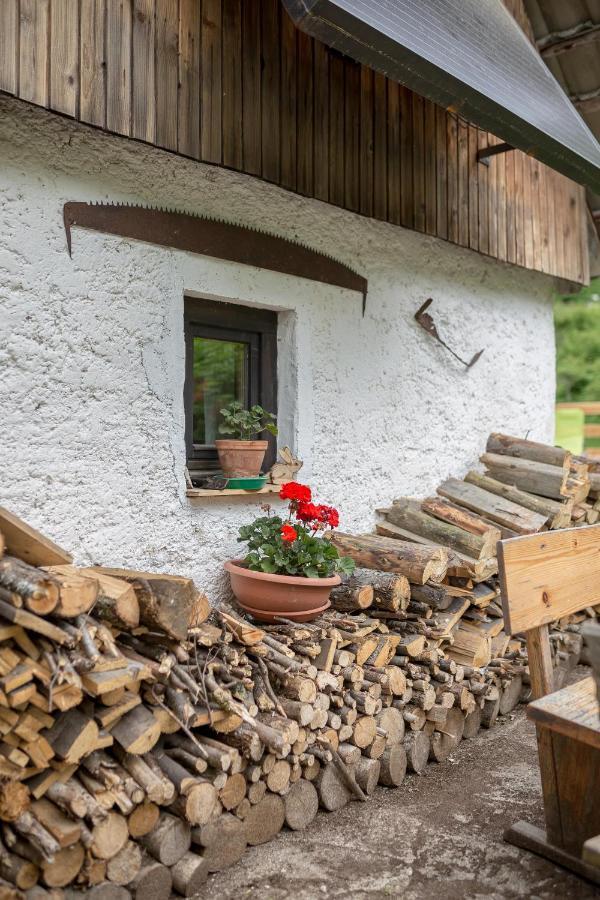 Вілла Lizina Hiska House Bohinj Бохінська Бістріца Екстер'єр фото