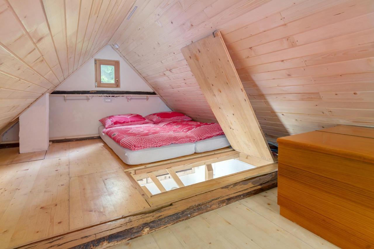 Вілла Lizina Hiska House Bohinj Бохінська Бістріца Екстер'єр фото