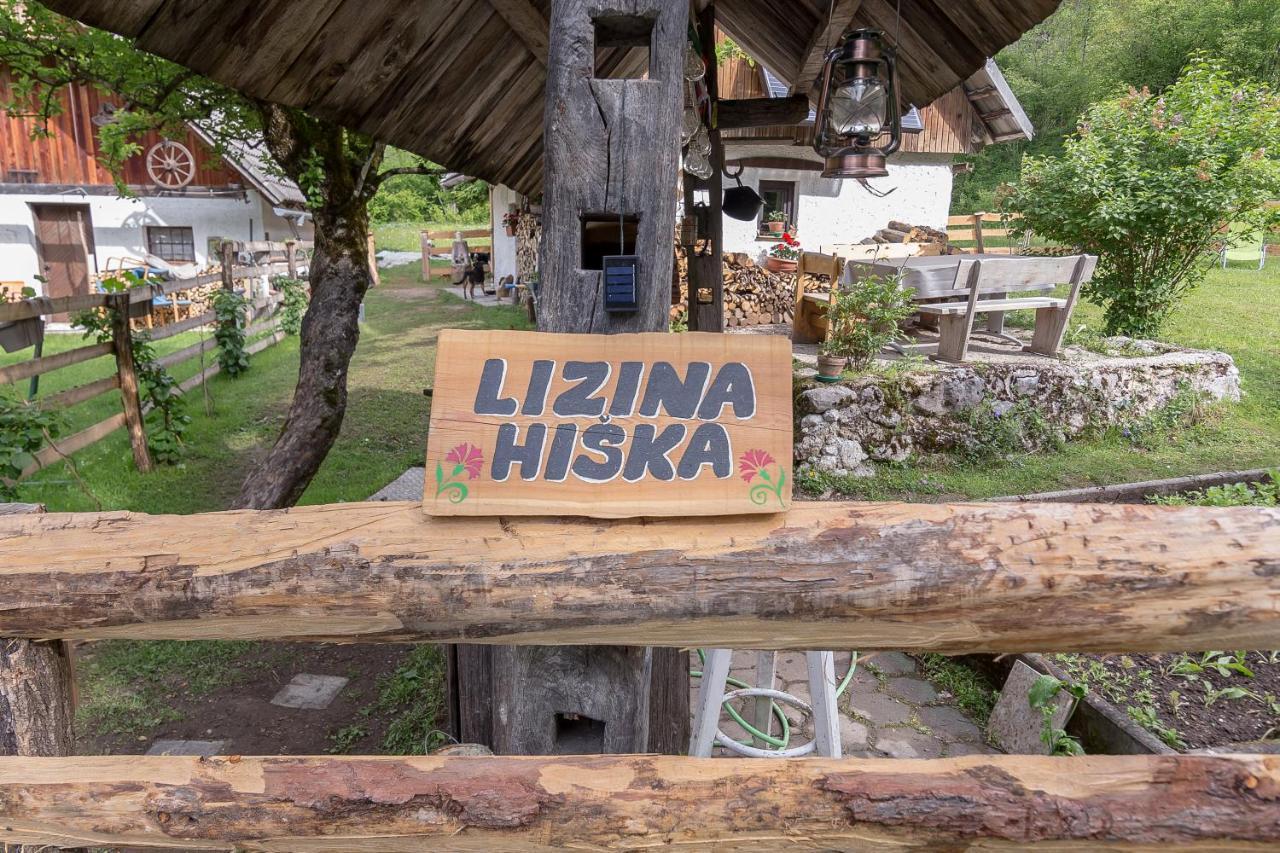 Вілла Lizina Hiska House Bohinj Бохінська Бістріца Екстер'єр фото