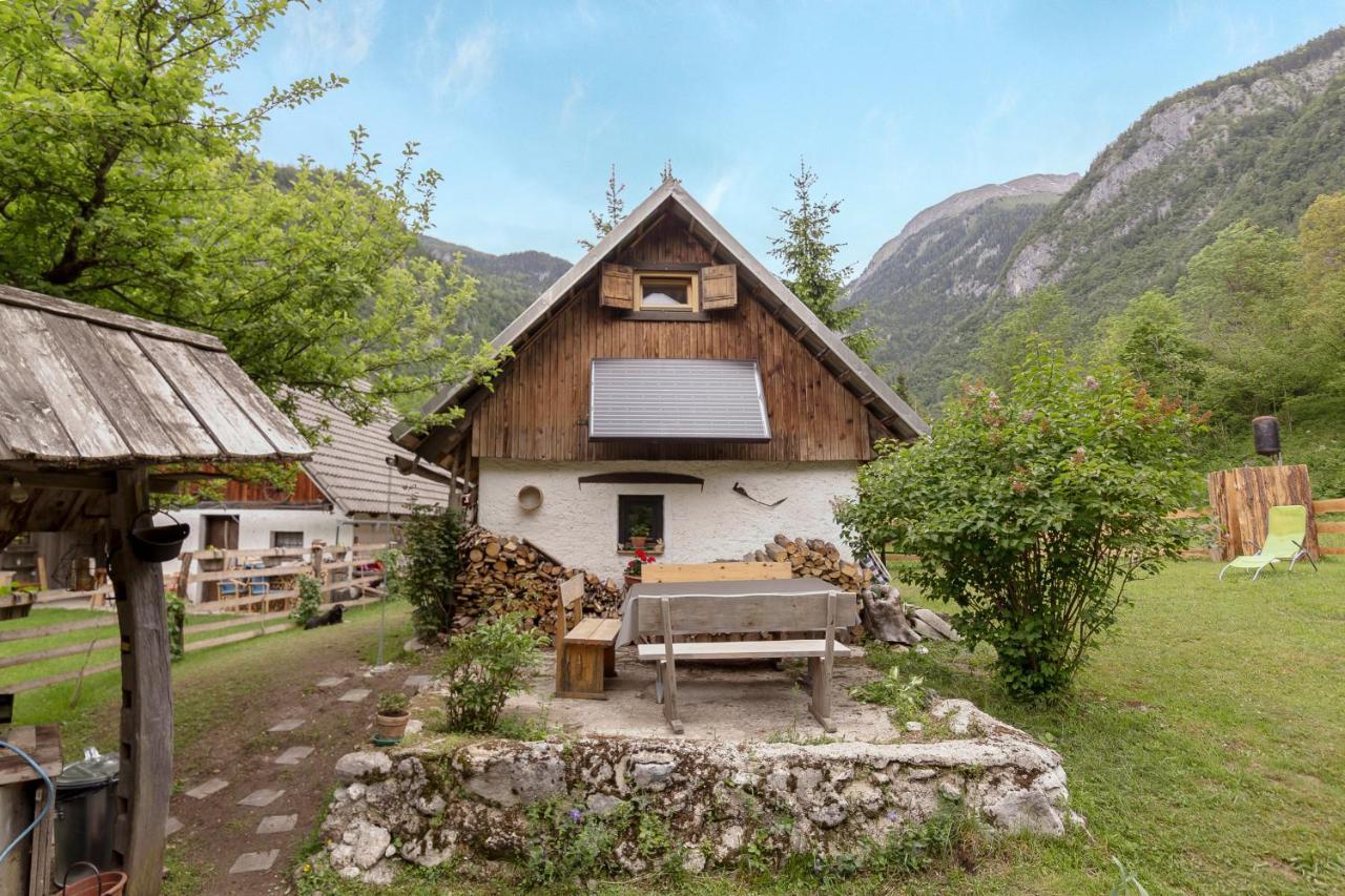 Вілла Lizina Hiska House Bohinj Бохінська Бістріца Екстер'єр фото
