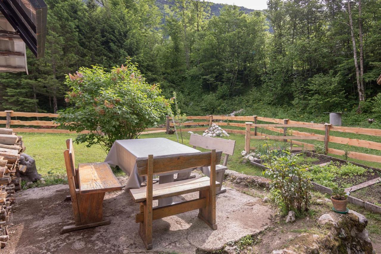 Вілла Lizina Hiska House Bohinj Бохінська Бістріца Екстер'єр фото